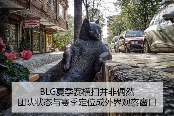 BLG夏季赛横扫并非偶然 团队状态与赛季定位成外界观察窗口